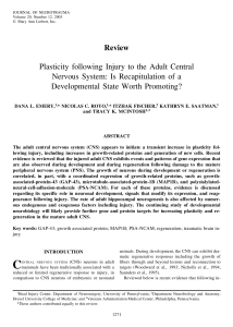 Plasticity following Injury to the Adult Central Nervous System: Is