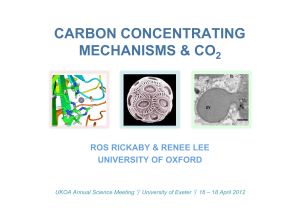 Ros Rickaby, Renee Lee - UK Ocean Acidification Research