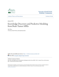 Knowledge Discovery and Predictive Modeling from Brain Tumor MRIs