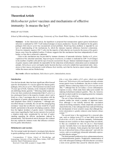 Helicobacter pylori vaccines and mechanisms of effective