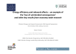 Energy efficiency and rebound effects – an