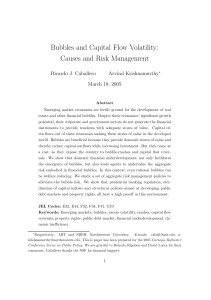 Bubbles and Capital Flow Volatility: Causes and Risk Management