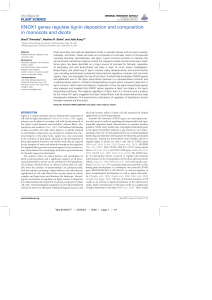 KNOX1 genes regulate lignin deposition and composition