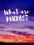 what are macros e-guide and worksheet