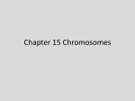 Chapter 15 Chromosomes