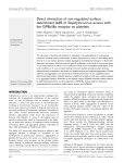 Direct interaction of iron-regulated surface