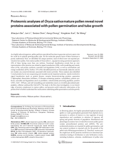 Proteomic analyses of Oryza sativa mature pollen reveal novel