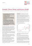 Drought, Chinese Mums, and the price of milk