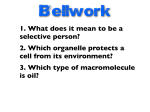 1. What does it mean to be a selective person? 2. Which organelle