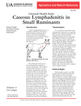 Caseous Lymphadenitis in Small Ruminants