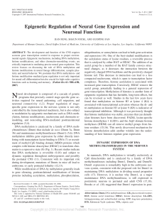 Epigenetic Regulation of Neural Gene Expression and Neuronal