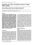 Expression and V (D) J recombination activity of mutated RAG