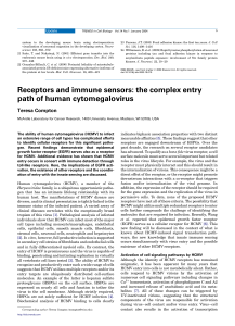 Receptors and immune sensors: the complex entry path of human