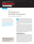 Perspectives in MicroRNA Therapeutics