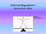 Internal Regulation I