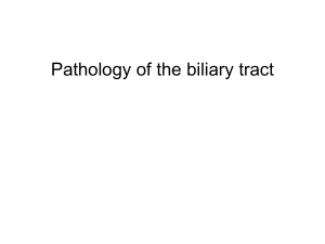 Pathology of the biliary tract