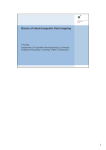 Basics of electromagnetic field mapping