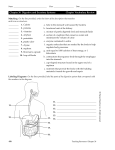 Chapter 38 Digestive and Excretory Systems Chapter Vocabulary