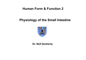 Metabolism and Digestion-Lecture 3-Physiology of The Small Intestine