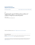 Exploring the role of CESA5 in the synthesis of cellulose using