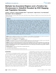 Multiple Sex-Associated Regions and a Putative Sex Chromosome