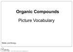 Organic Compounds Picture Vocabulary