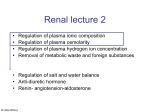 AHS renal lecture2_Witney_13