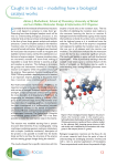 Caught in the act – modelling how a biological catalyst works