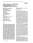 Report Distinct Dynamics of HISTONE3 Variants