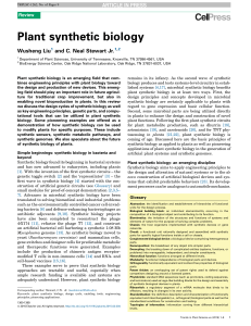 Plant synthetic biology
