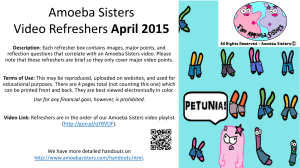 Amoeba Sisters Video Refreshers April 2015