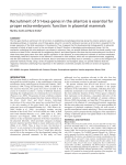 Recruitment of 5! Hoxa genes in the allantois is