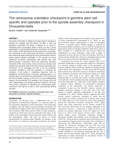 The centrosome orientation checkpoint is germline stem cell specific