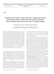 Erythrocytic inclusion body syndrome: a light and