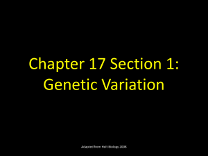 Chapter 17 Section 1: Genetic Variation