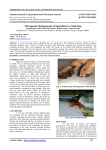Therapeutic Management of Snakebite in a Male Dog