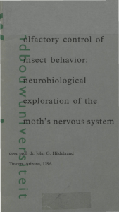 moth`s nervous system - Wageningen UR E