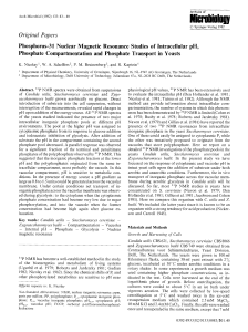 Phosphorus-31 nuclear magnetic resonance studies of intracellular