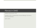 Fibrosis in DMD