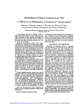 Metabolism of Human Leukocytes in Vitro I