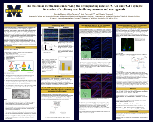 Abstract Background Preliminary Data Hypothesis