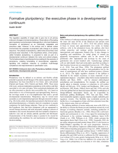 Formative pluripotency: the executive phase in a developmental