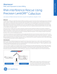 RNAi Rescue using Precision LentiORF