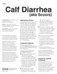 V-1630 Calf Diarrhea (Scours) [2013]