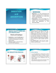 I. DEFINITIONS THE DEGLUTITION PROCESS 2) Peristalsis