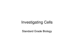 Investigating Cells