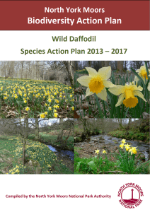 Species Action - North York Moors National Park