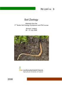 Soil Zoology