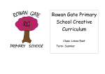 Rowan Gate Primary School Creative Curriculum