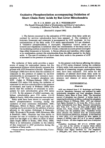 Oxidative Phosphorylation accompanying Oxidation of